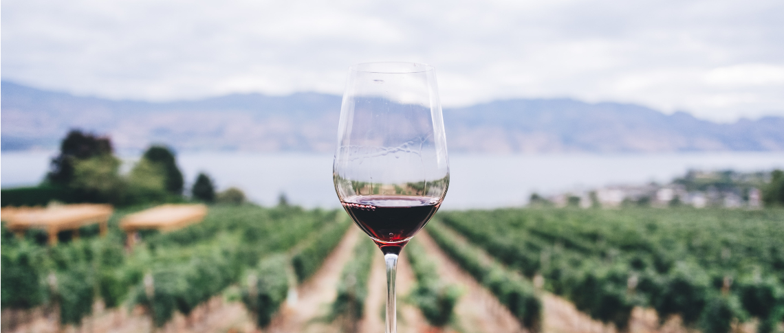wine_slideshow_vineyard