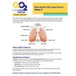 Click here for more information about Stage II Non-Small Cell Lung Cancer (ID:1401)