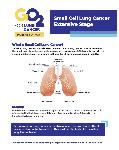 Click here for more information about Small Cell Lung Cancer - Extensive Stage  (ID 1845)