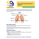 Click here for more information about Stage III Non-Small Cell Lung Cancer (ID:1406)